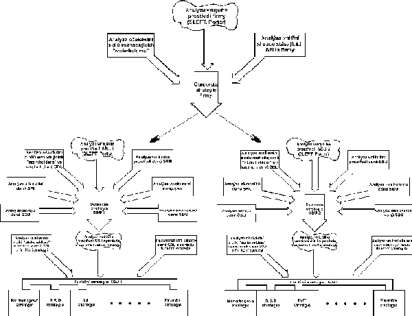 Proces formulace strategi firmy