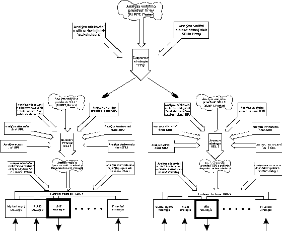 IS/IT strategie v rmci hierarchie strategi firmy